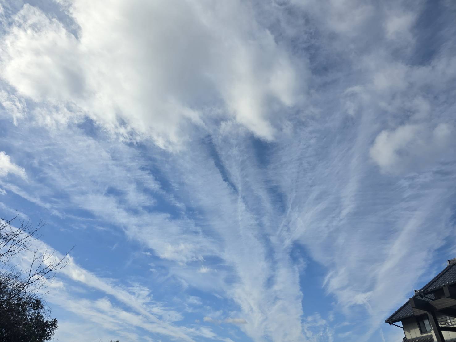 年の暮れに、感謝を込めて